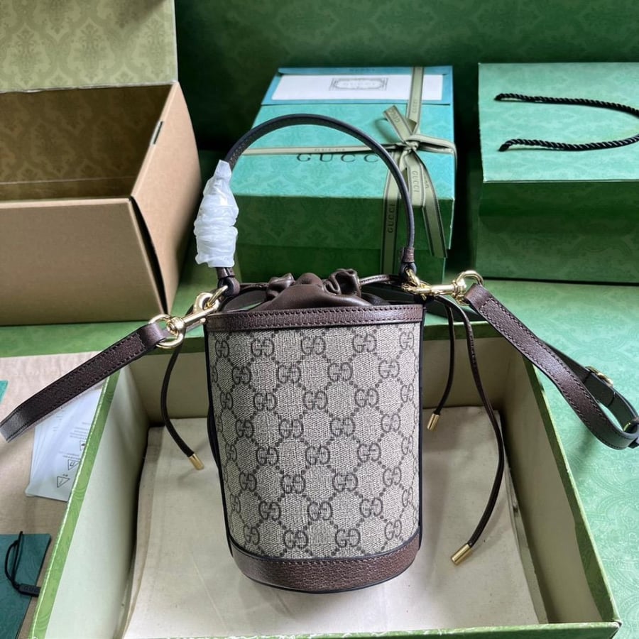 Gucci bag