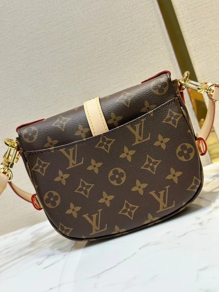 Louis Vuitton bag