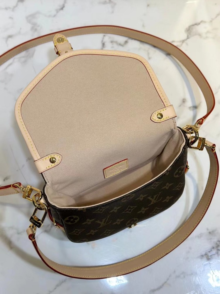 Louis Vuitton bag