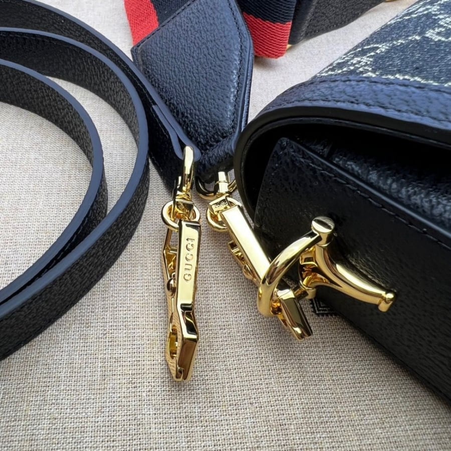 gucci bag