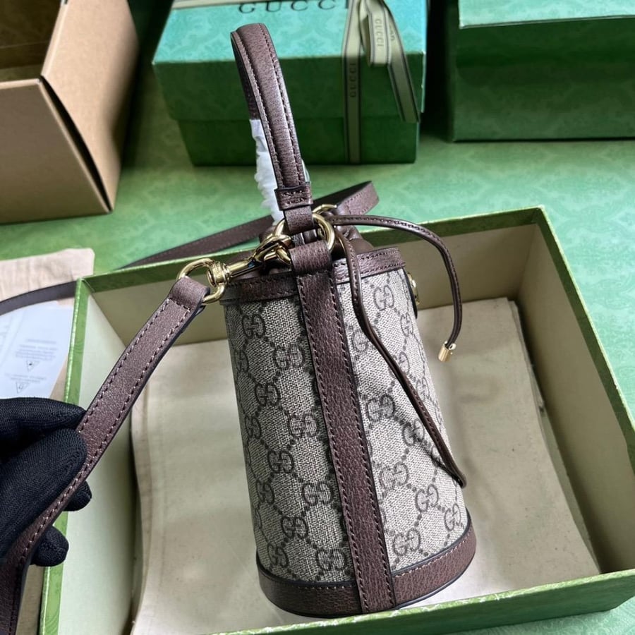 Gucci bag