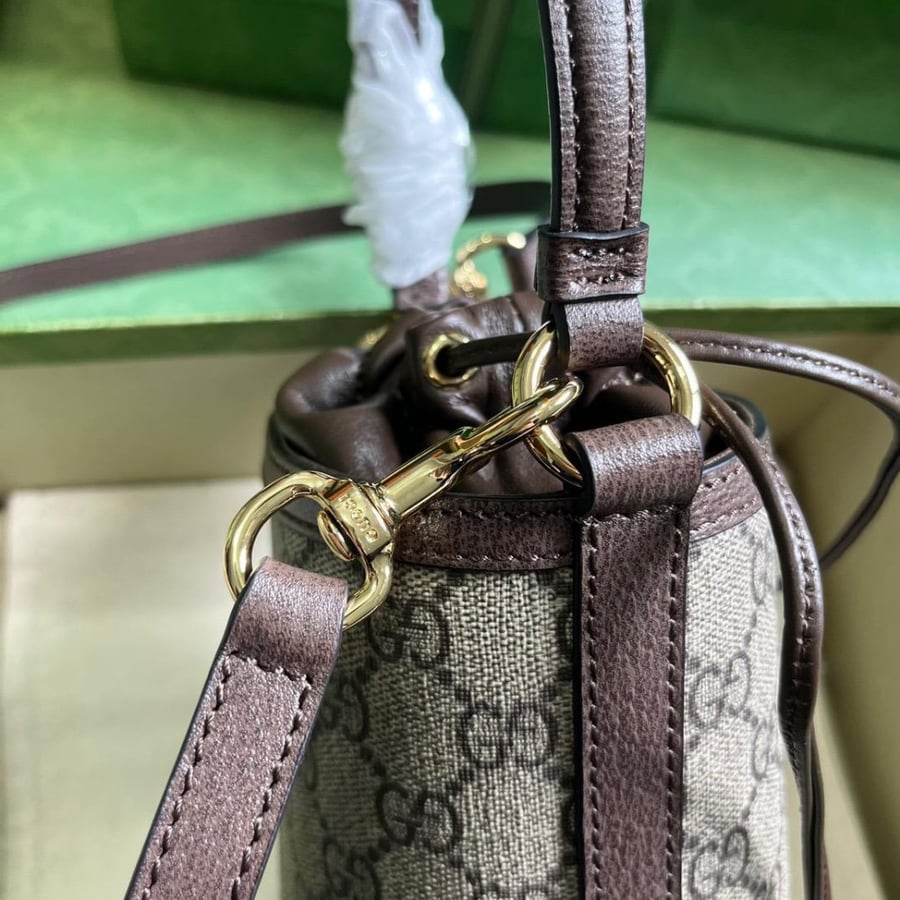Gucci bag