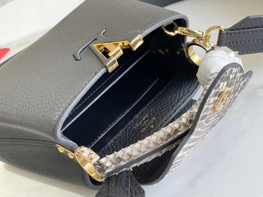Louis Vuitton bag