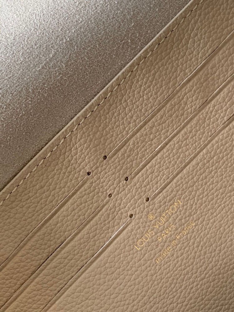 Louis Vuitton bag