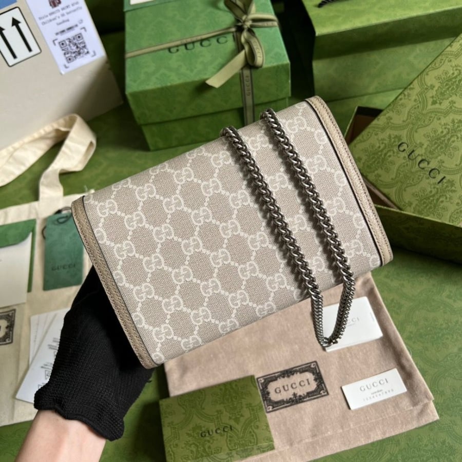 Gucci bag
