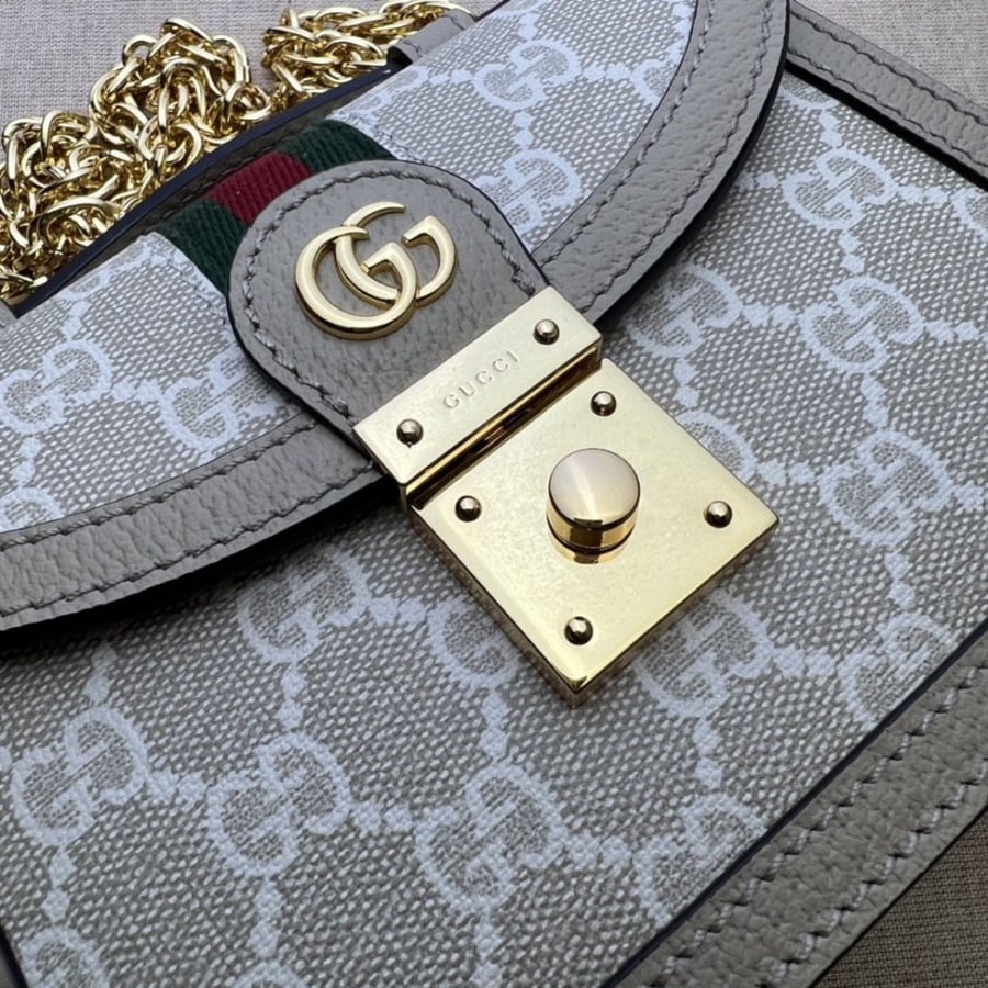 gucci bag