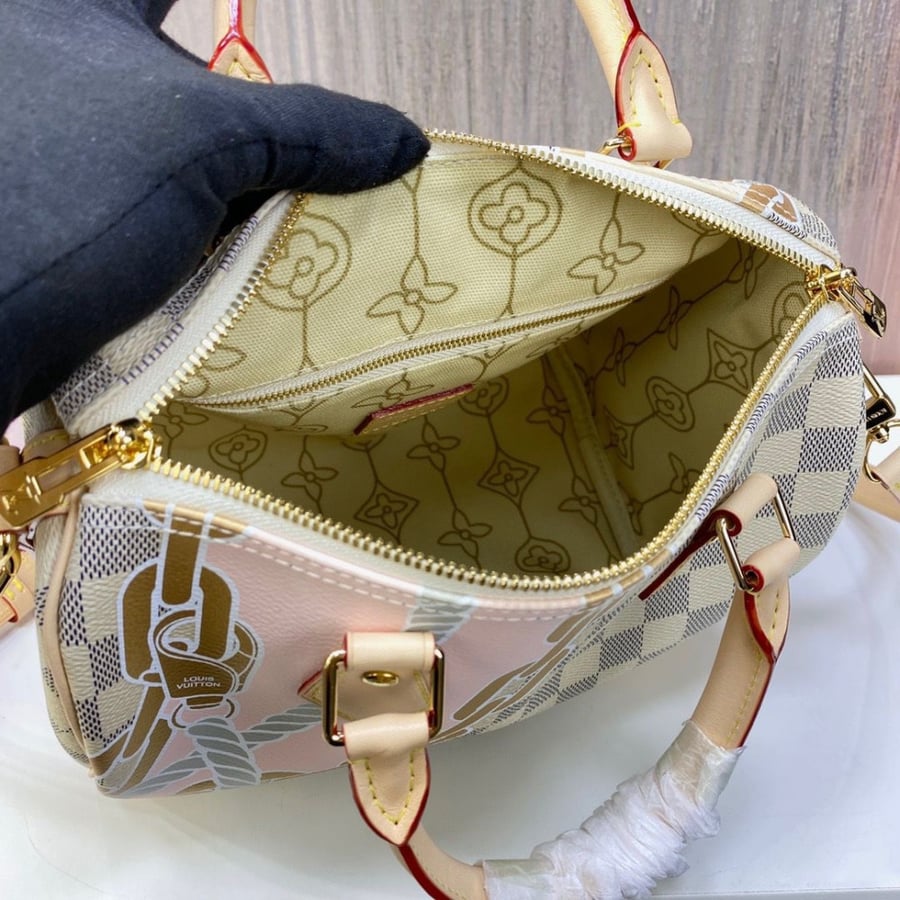 Louis Vuitton bag