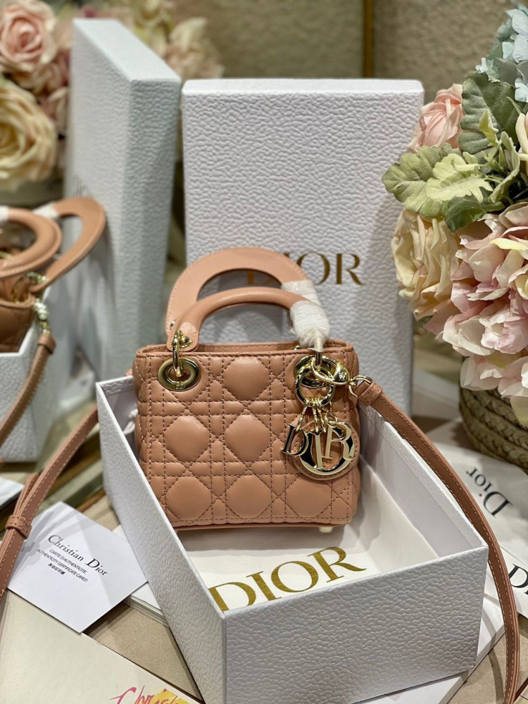 Dior Bag (Lady Dior Micro)