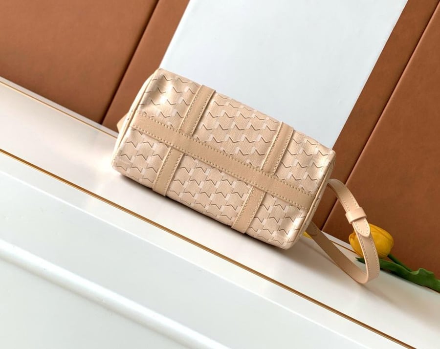 حقيبة Moynat