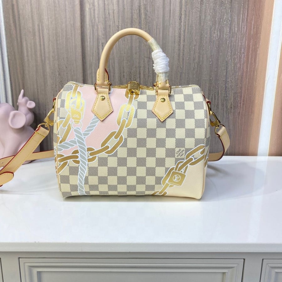 Louis Vuitton bag
