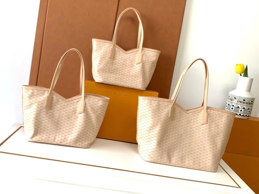حقيبة Moynat