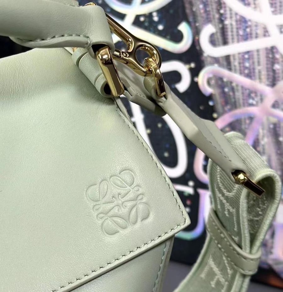 Louis Vuitton bag