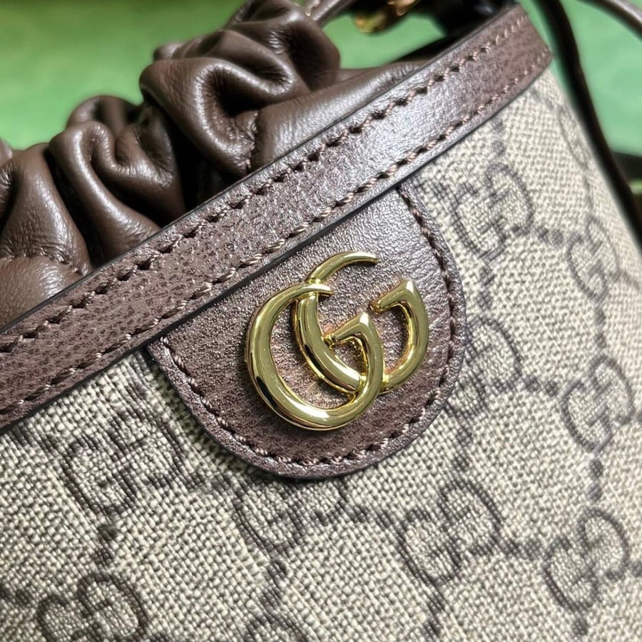 Gucci bag