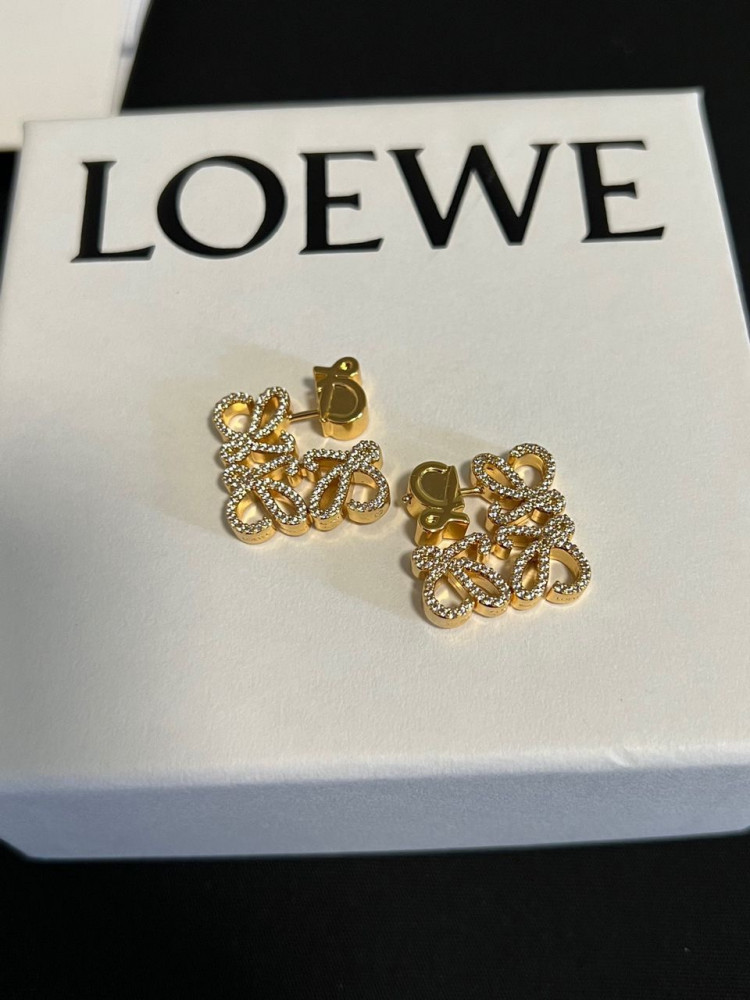 Loewe earrings