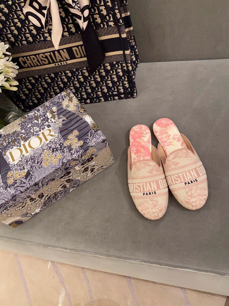 slippers dior