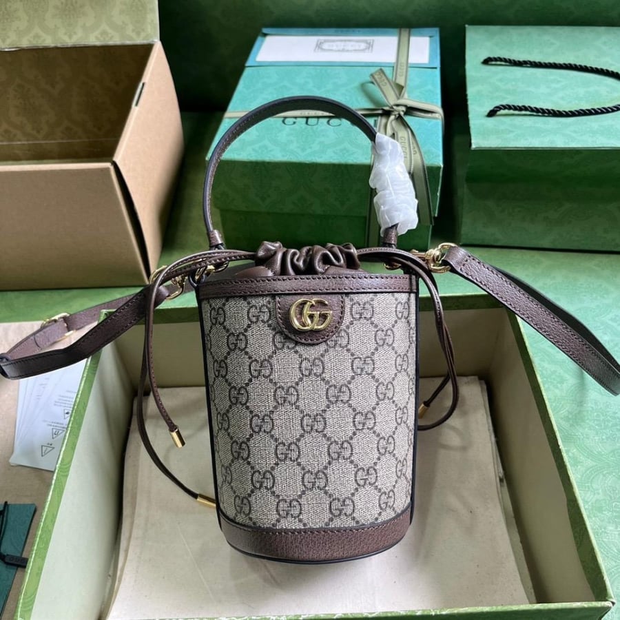 Gucci bag