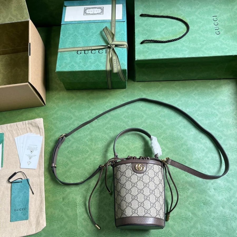 Gucci bag