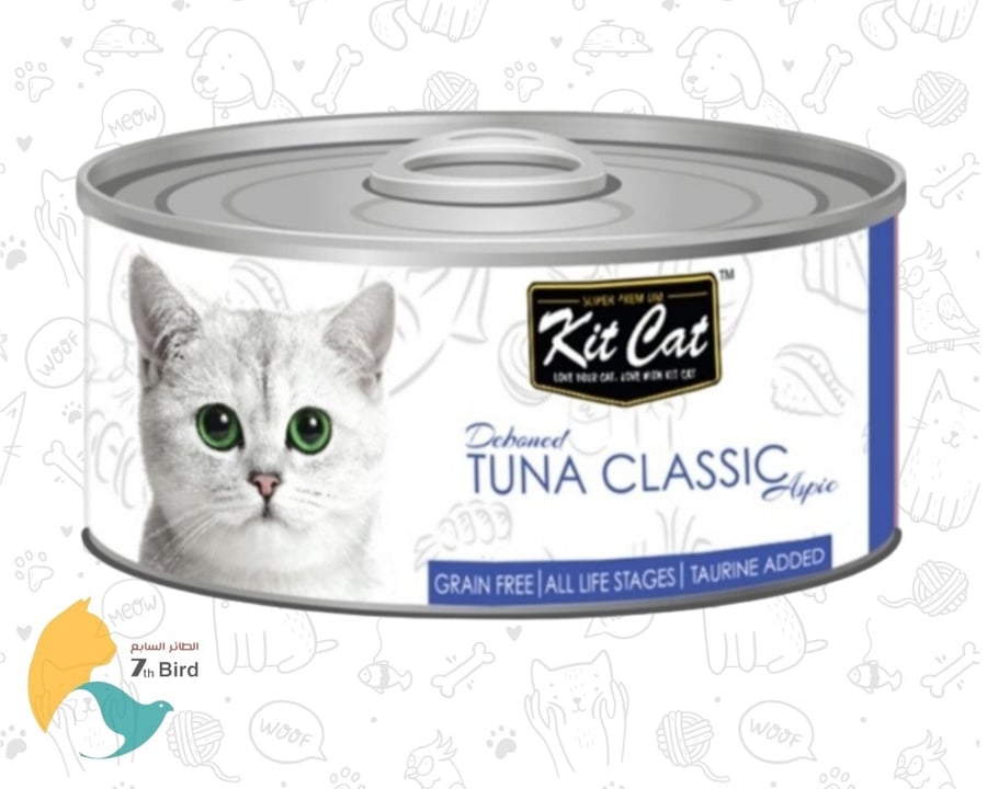 الطعام الرطب للقطط من كت كات kit cat
