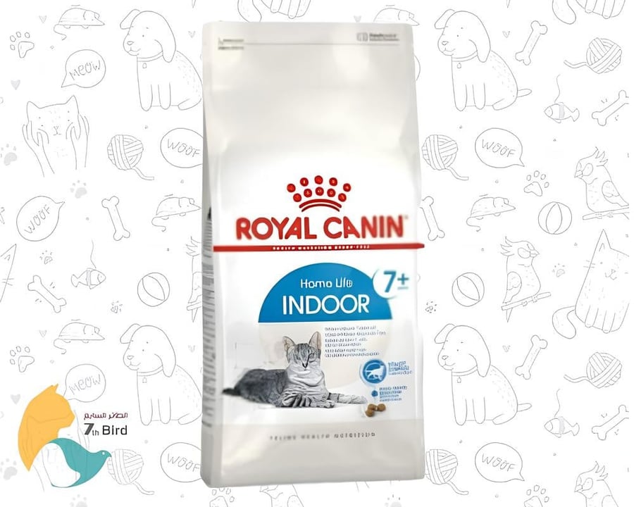 الطعام الجاف للقطط من رويال كانن Royal canin