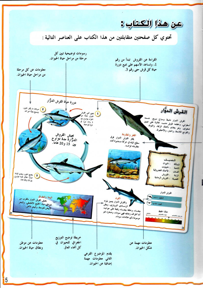 موسوعة الحيوانات - أسماك القرش