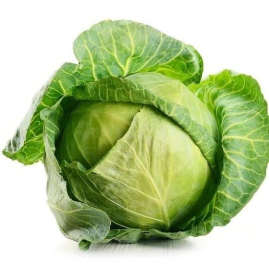 بذور ملفوف