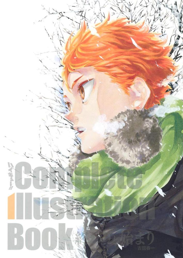 Haikyuu! - Illustration Book