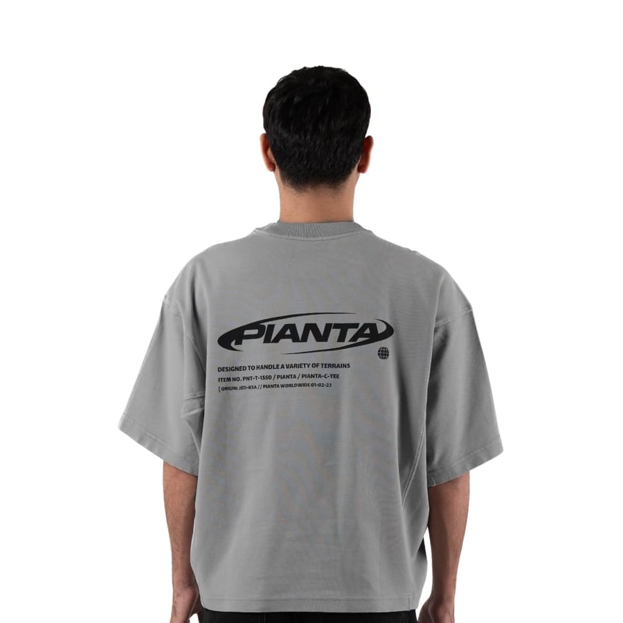 gray   T-shirt