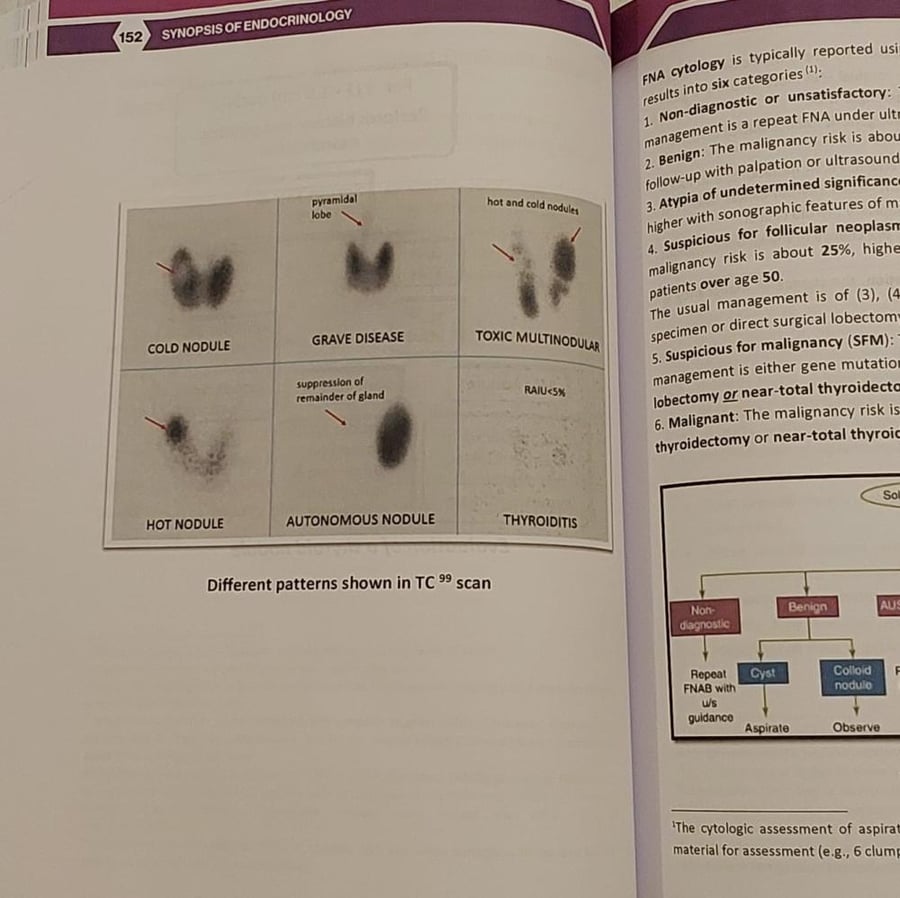 Synopsis of Endocrinology
