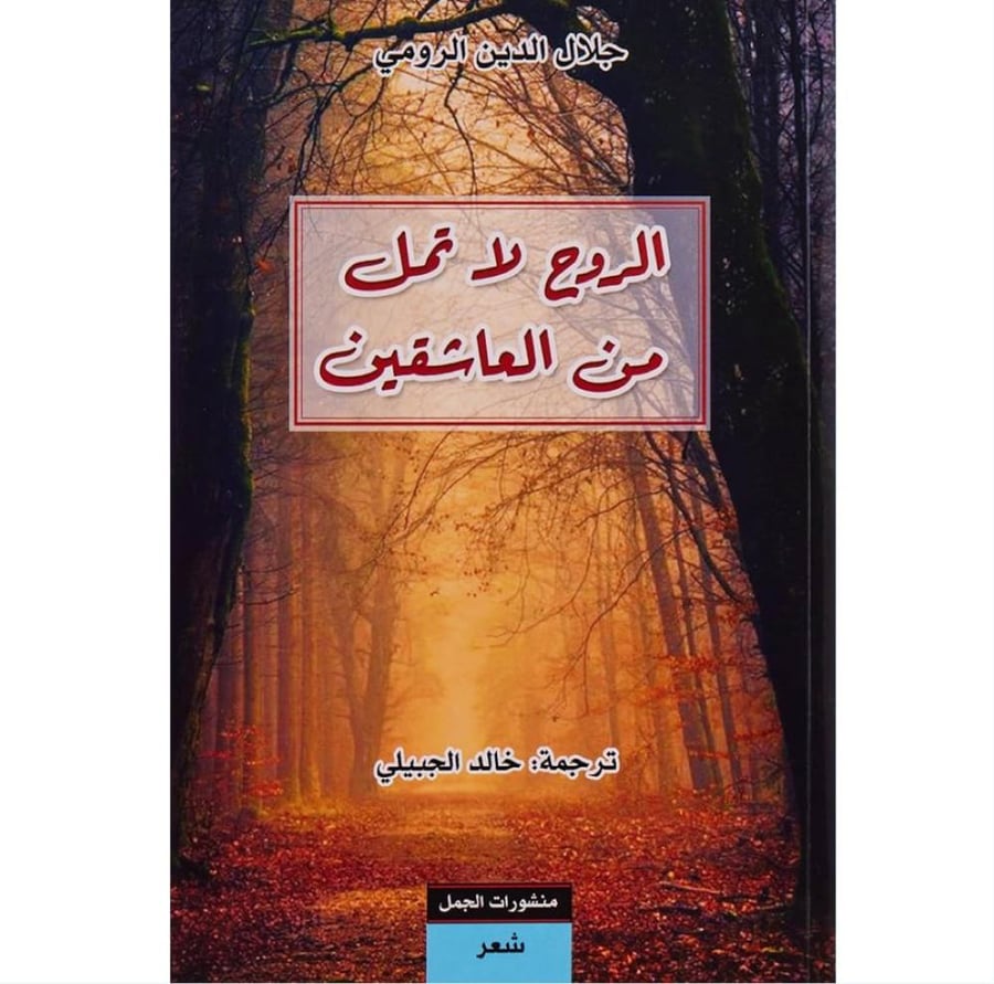 الروح لا تمل العاشقين