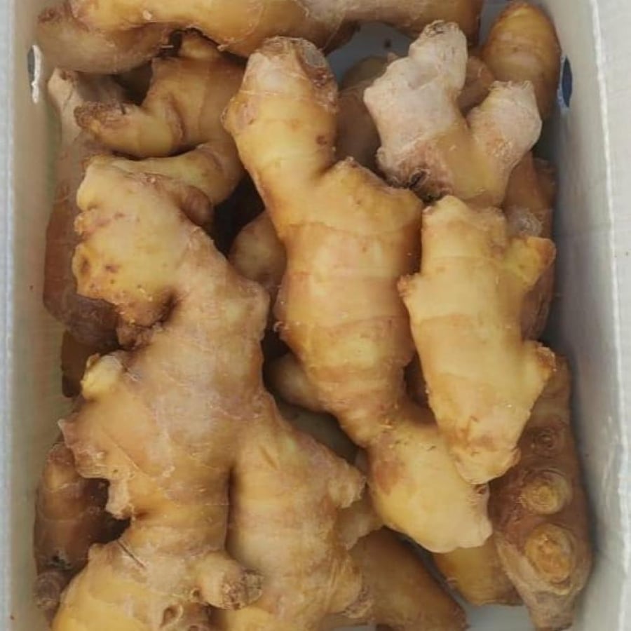 زنجبيل كرتون