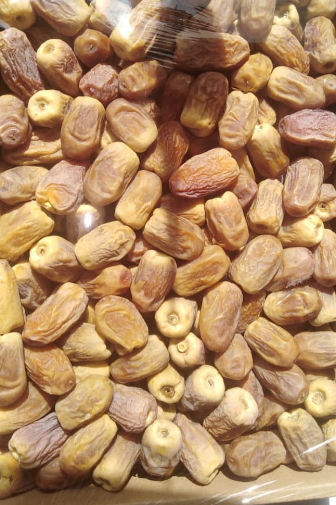 تمر رشودية-كرتون
