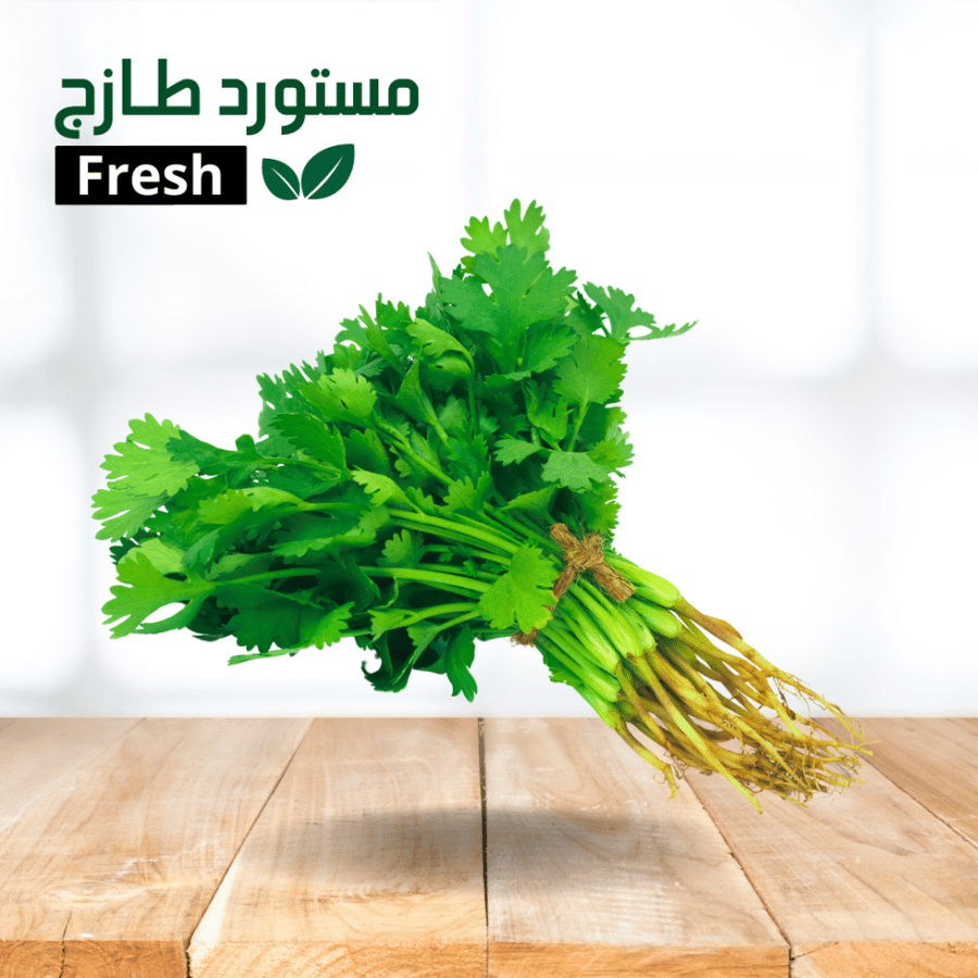 كزبرة سورية 1 ربطة