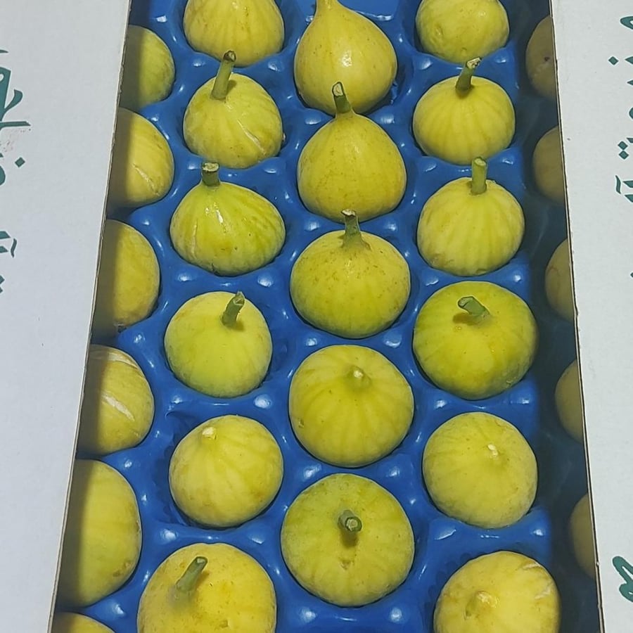 تين طبق