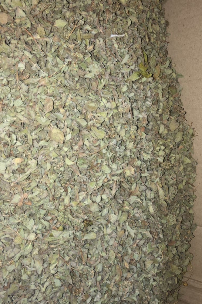 زعتر اخضر يابس سوري ربع كيلو ب