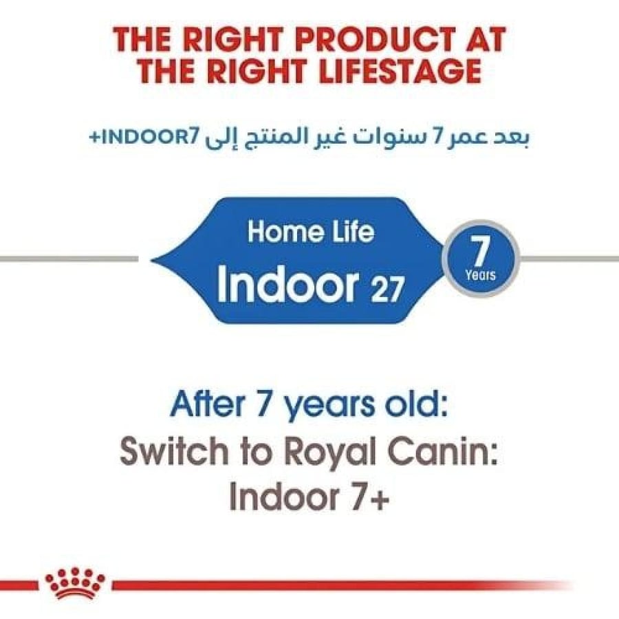 رويال كانين اندور اكل قطط +7