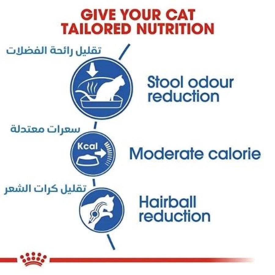 رويال كانين اندور اكل قطط +7