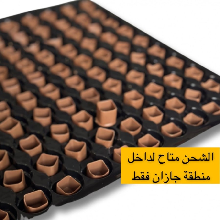 ميني ثمبل 100 حبه