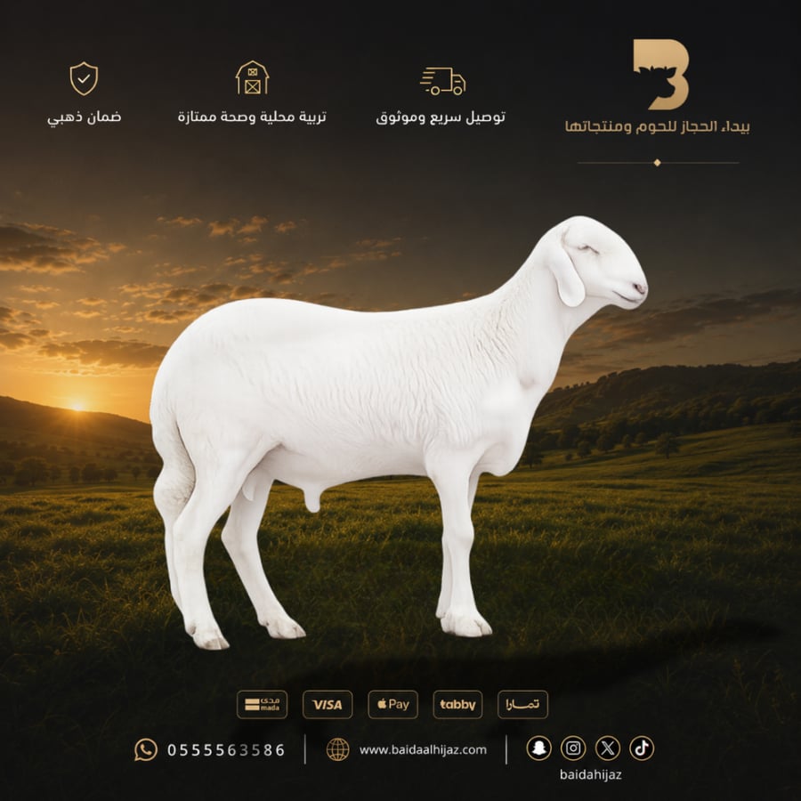 سواكن جبر جذع طازج