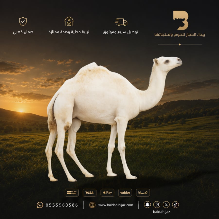 حوار طازج