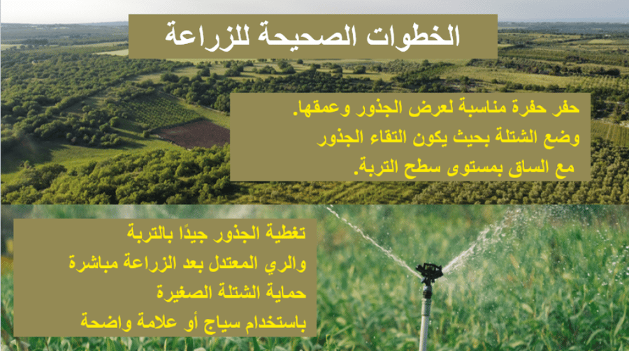 بوربوينت مجتمعي وبيئتي مسؤوليتي
