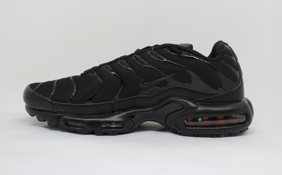 NIKE TN AIR MAX shoes