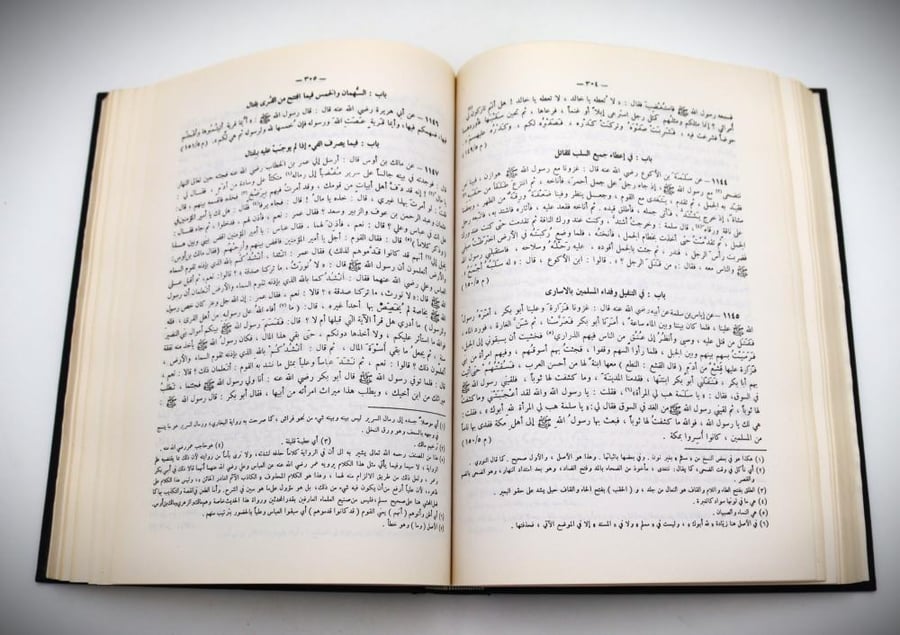 مختصر صحيح مسلم