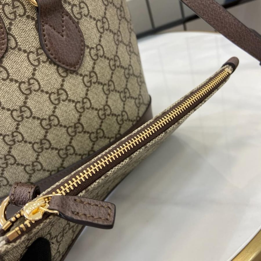قوتشي ميني