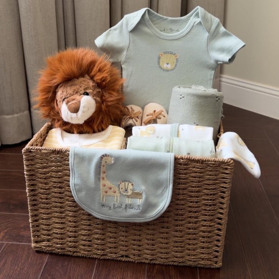 Baby Lion