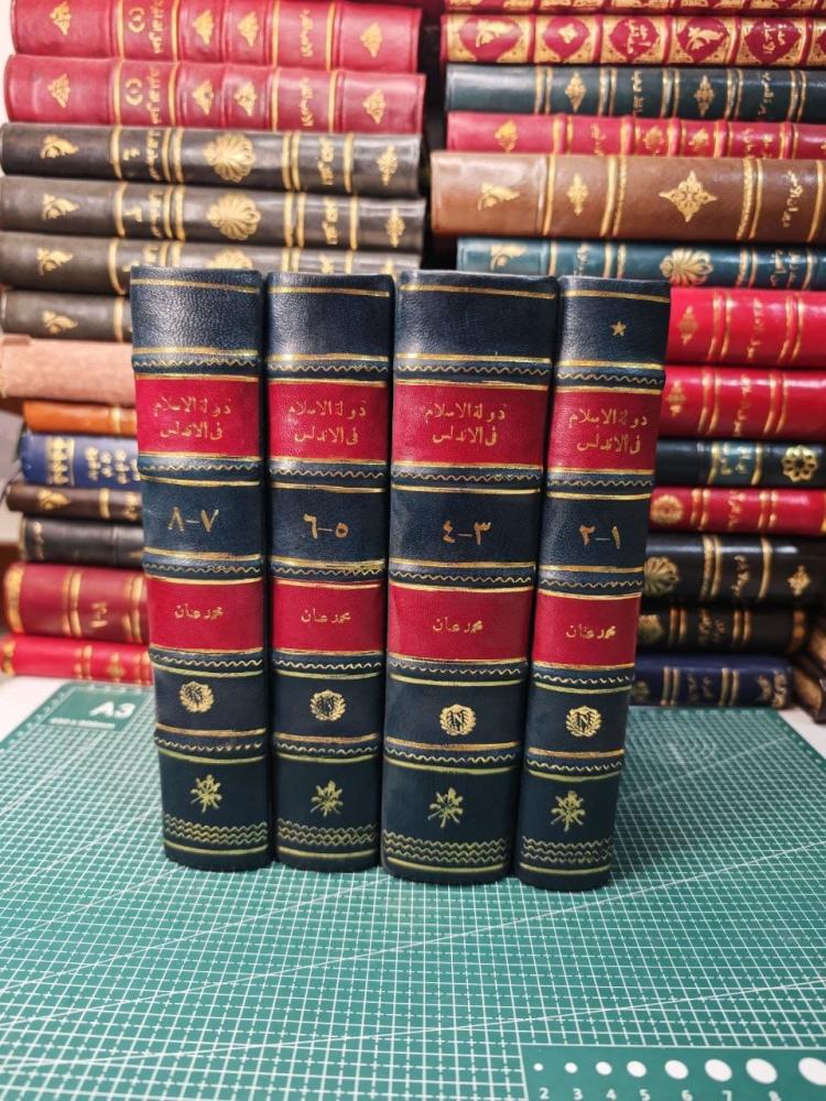 كتاب دولة في الأندلس