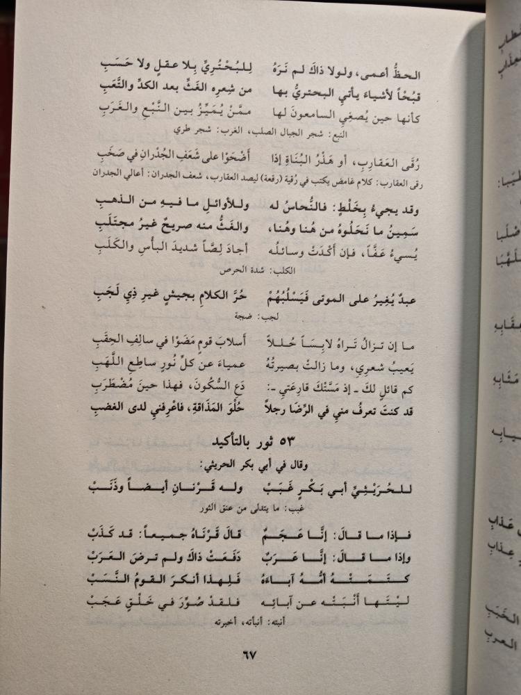 كتاب تألق الشعر عصر المتنبي من ابن الرومي حتى سقوط بغداد
