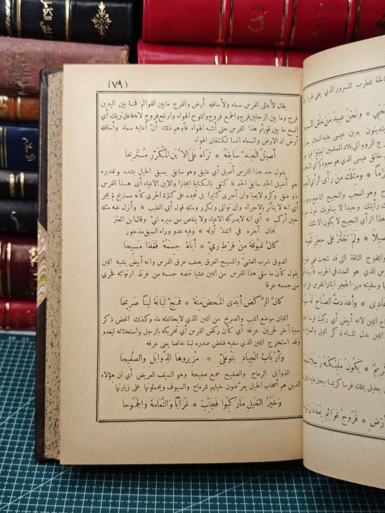 شرح التنوير على سقط الزند