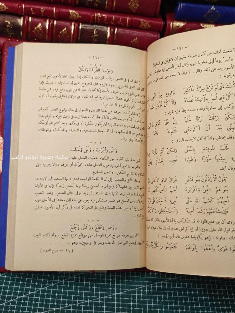 سرح العيون في شرح رسالة ابن زيدون