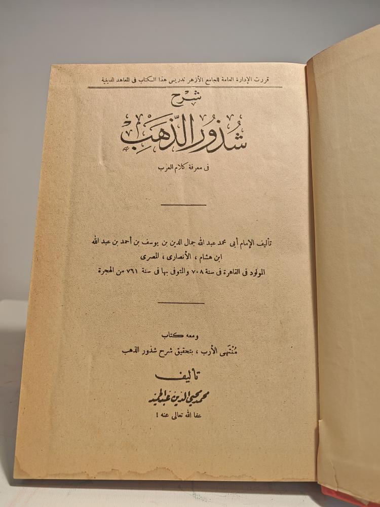 شرح شذور الذهب في معرفة كلام العرب