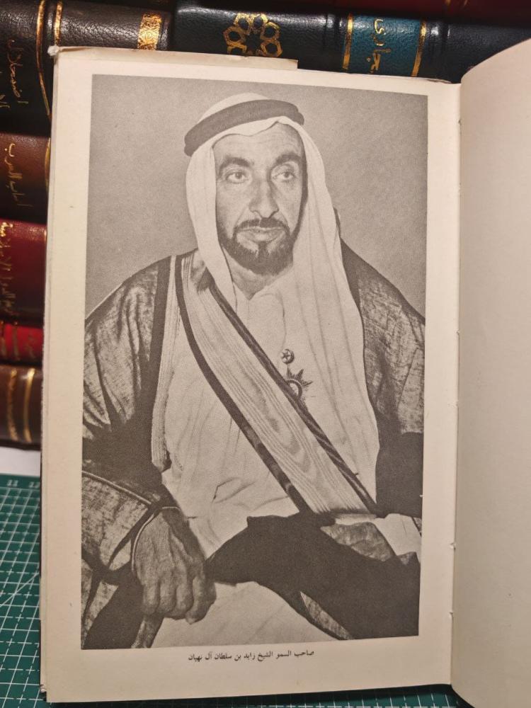 صقر الصحراء